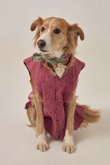 MAISON HOTEL MIA VEST IN PEONIA