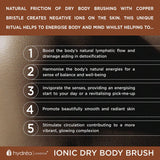 HYDREA IONIC COPPER BODY BRUSH